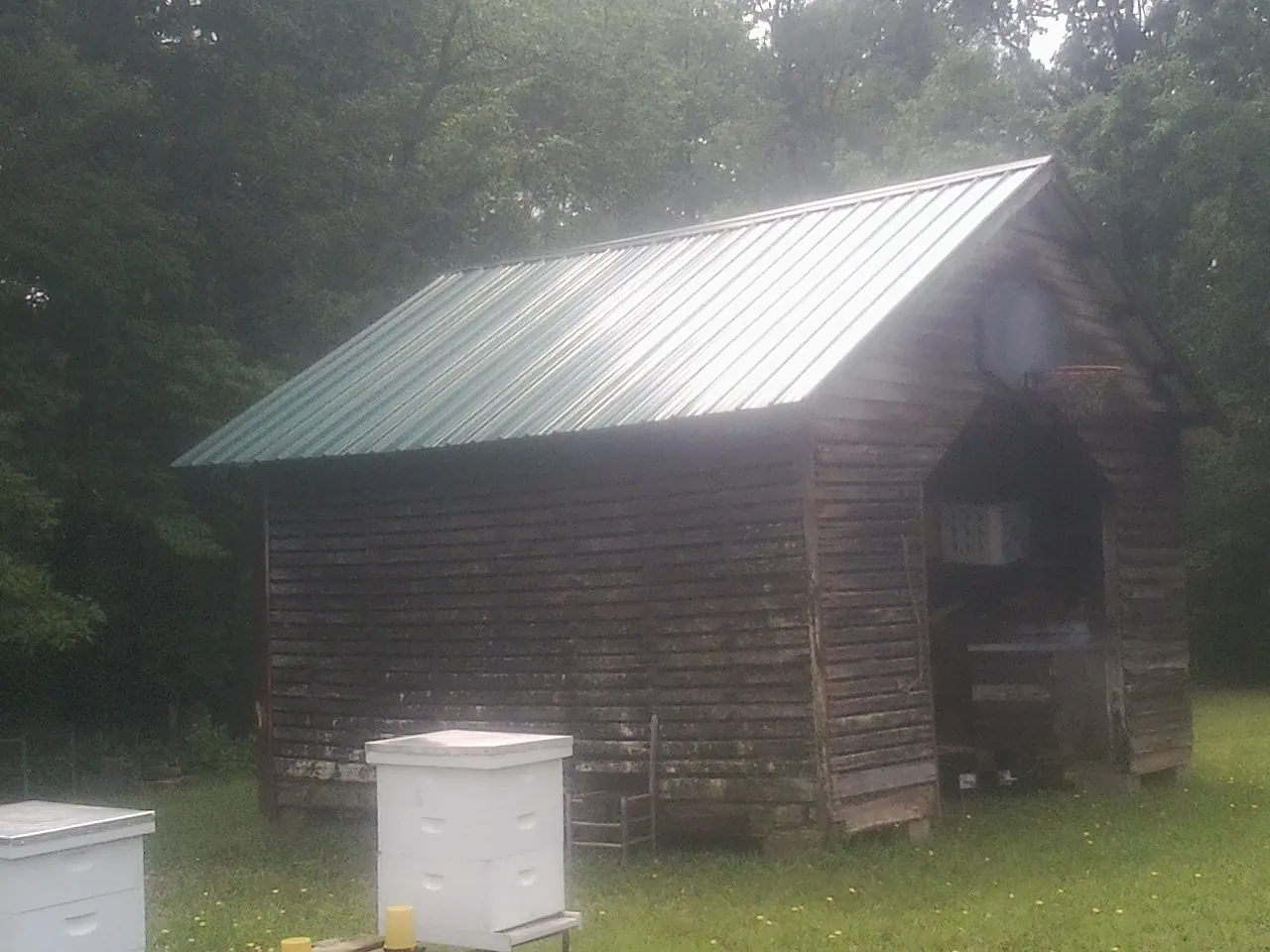 Green metal roof on a weathered barn beside stacked beehives in Todd